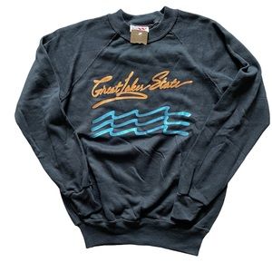 Vintage 80s Great Lakes State Michigan sweatshirt